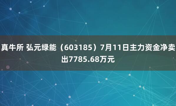 真牛所 弘元绿能（603185）7月11日主力资金净卖出7785.68万元