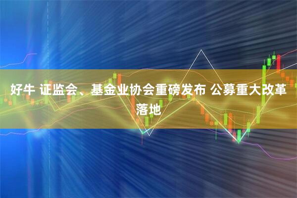 好牛 证监会、基金业协会重磅发布 公募重大改革落地