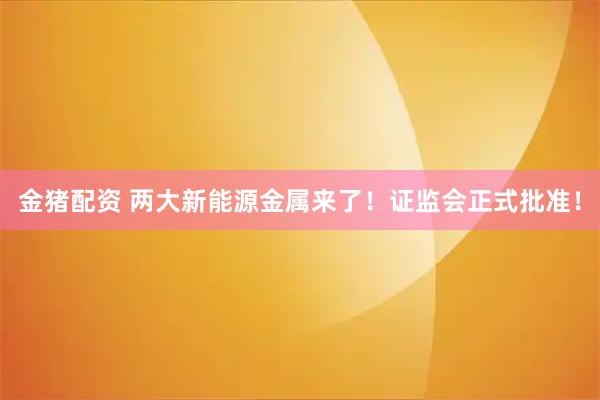 金猪配资 两大新能源金属来了！证监会正式批准！